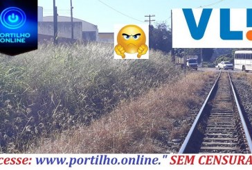 👉👎🤔😱😠😡🐍🦂🕸🕷🦗Portilho…. Ajuda nois ai, tá achando cobra,  escorpião LÁ VEM O “TREM DA VLI”!! CUIDADO COM O MATAGAL NA PISTA!!!