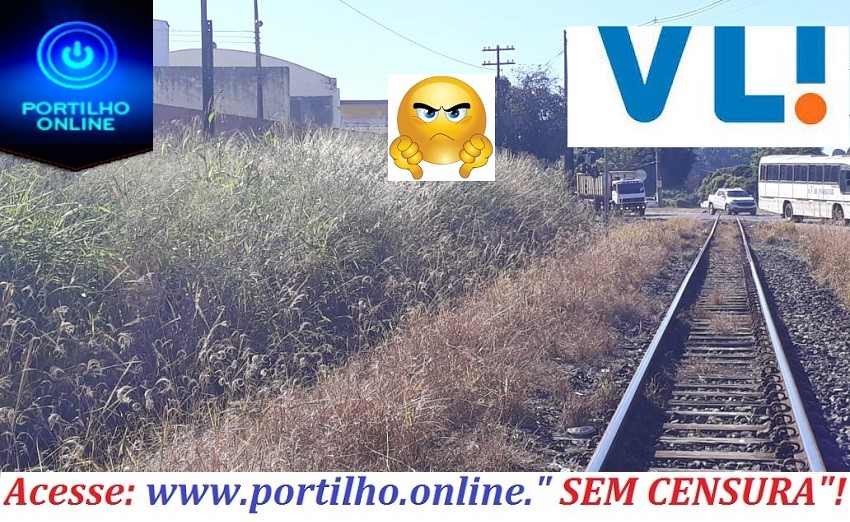 👉👎🤔😱😠😡🐍🦂🕸🕷🦗Portilho…. Ajuda nois ai, tá achando cobra,  escorpião LÁ VEM O “TREM DA VLI”!! CUIDADO COM O MATAGAL NA PISTA!!!