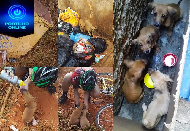 👉👏✍🙏🙌👍👏👏👏👏Casal de ciclistas de Patrocínio resgata filhotes de cachorro abandonados em caçamba de lixo