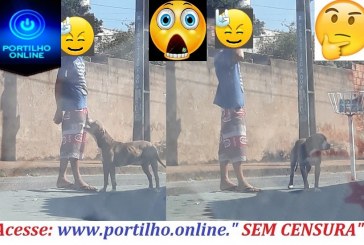 👉🚨🐈🚓👊🐕😮😱🤔 Boa tarde Portilho… Portilho… Ele atende pelo nome de Zeus..Mas até pra denunciar é difícil  oua Liguei nuns 10 números