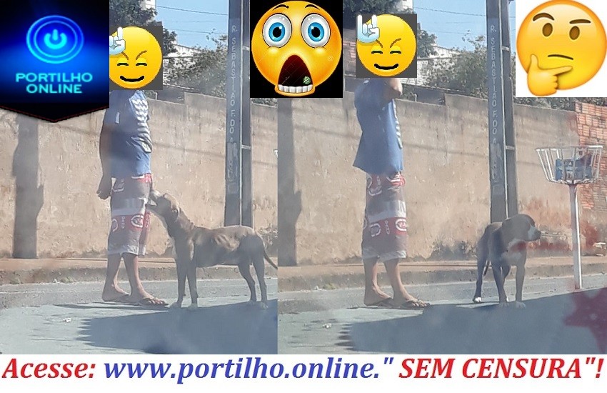 👉🚨🐈🚓👊🐕😮😱🤔 Boa tarde Portilho… Portilho… Ele atende pelo nome de Zeus..Mas até pra denunciar é difícil  oua Liguei nuns 10 números