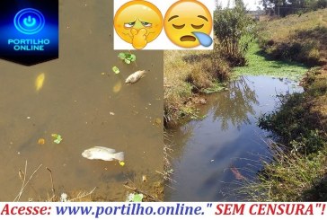 👉😱😡🚨🚔⚖🤢🤮🐟🐡🐠Cadê prefeito de ROMÁRIA Portilho??? Joao Rodrigues e o Vice prefeito Professor Juninho População de romaria não aguentando carniça peixe morrendo