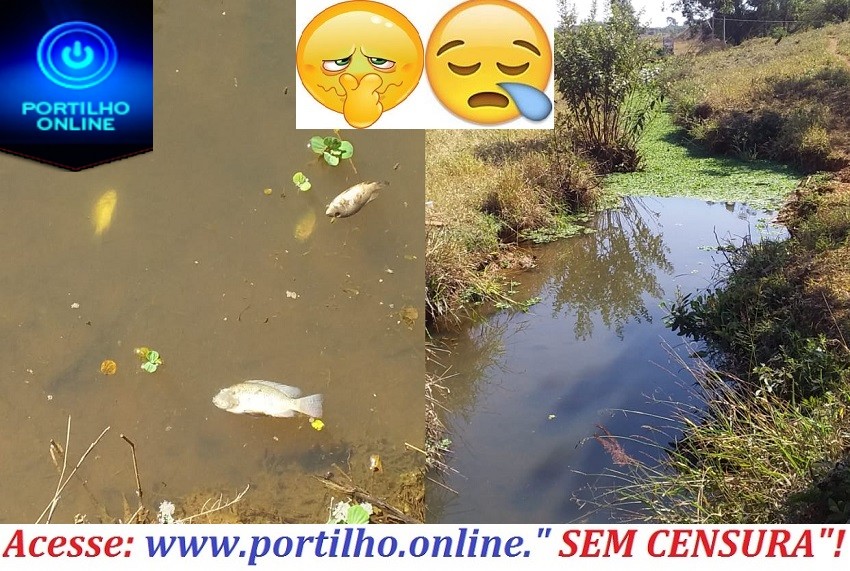 👉😱😡🚨🚔⚖🤢🤮🐟🐡🐠Cadê prefeito de ROMÁRIA Portilho??? Joao Rodrigues e o Vice prefeito Professor Juninho População de romaria não aguentando carniça peixe morrendo