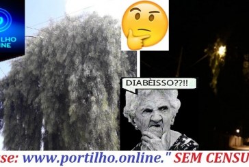 👉😠👊👍🤔😱🧐🌳🌳🌳Bom dia Portilho!!  Tudo bem… Queria fazer uma reclamação,  sou morador da Rua Benedito Santos-  n 310 Bairro Enéias…