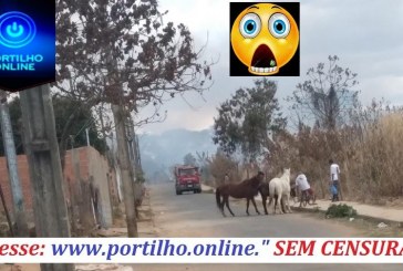 👉🚨😱🚐🚒🔥✍🚒🚒🚒🚒🚒CADÊ OS BOMBEIROS?!?!?!? Portilho… Ontem teve essa queimada aqui na Rua Japão com a Avenida Argentina Ligamos para os corpos de bombeiros e ninguém veio…