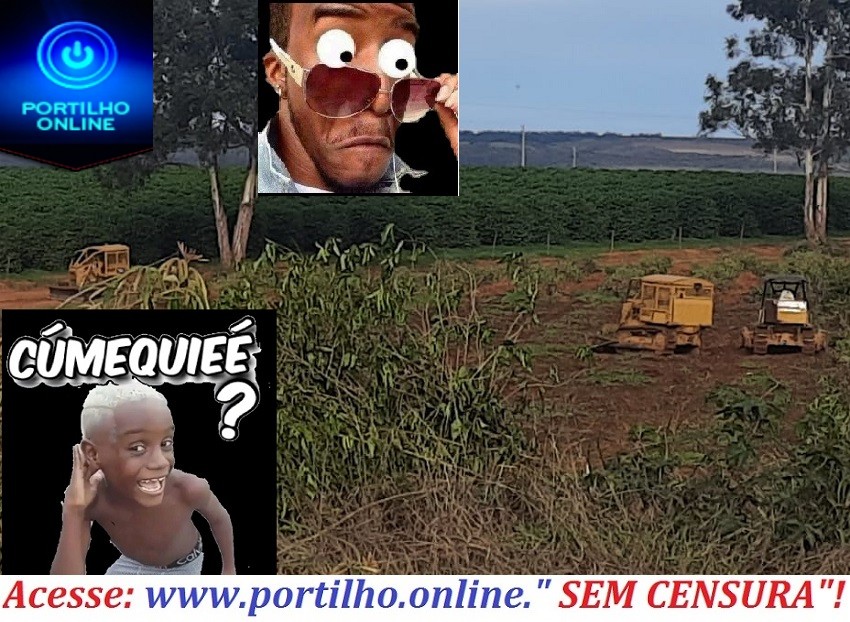 👉🤔👊✍😱😠🚜NÃO PROCEDE!!Portilho bom dia queria fazer uma denúncia de máquinas da p. trabalho pra grande fazendeiro lá em Martins…