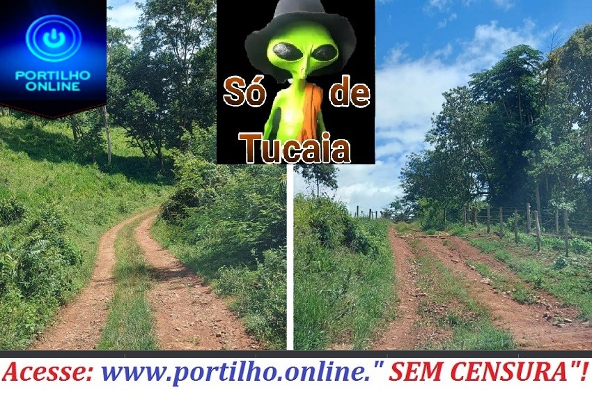 👉🤔😠😱🚛🚜👊👍✍ESTRADA DE TEJUCO!!! Boa tarde Portilho, favor não me identificar. Estou lhe enviando essas fotos e vídeo da situação da estrada rural na região do Tijuco.