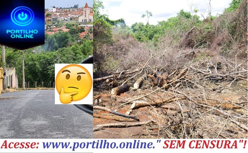  👉⚖🚨🚔😳😱👊😡😡🌳🌳🌳CADÊ A SECRETARIA DO MEIO AMBIENETES????ALGUÉM VIU???Portilho… Tenho mais uma denúncia pra fazer, tem um cidadão que deve morar na Rua Deiro Marra que está desmatando um trecho de onde não é permitido.