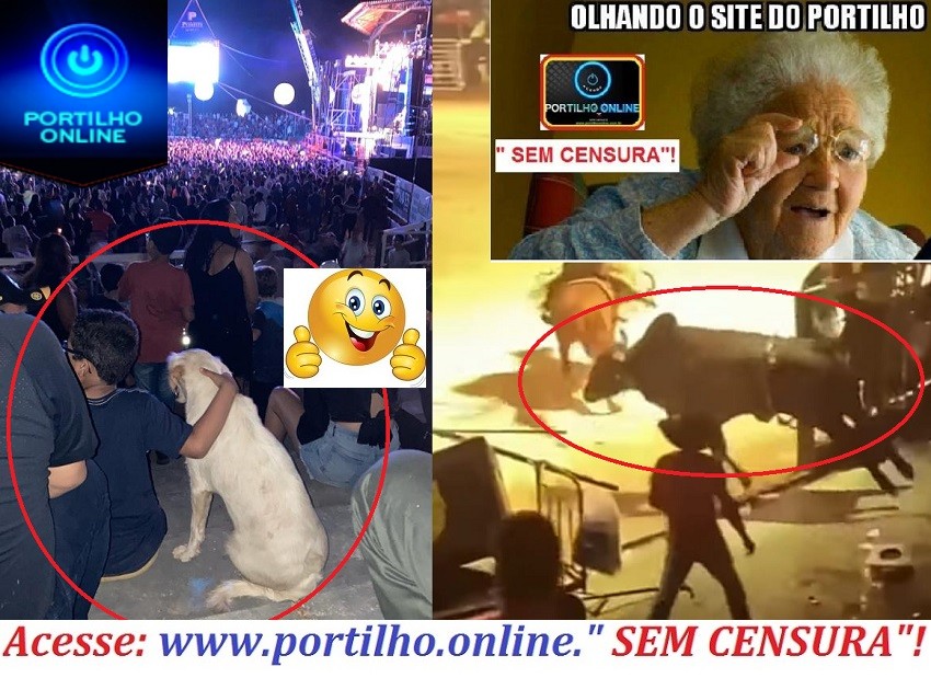 👉😱😳🐃🐂🐄👉🤔🤔🤔🤔 APÓS O “CHIFRUDÃO PULAR A CERCA” … No fim tudo acaba bem 🙌🏻🙌🏻.👏 Obs: esse  Cãozinho 🐶 estava perdido lá com medo do boizão, mas o garotinho curtiu a festa abraçado com ele 👏🏻👏🏻