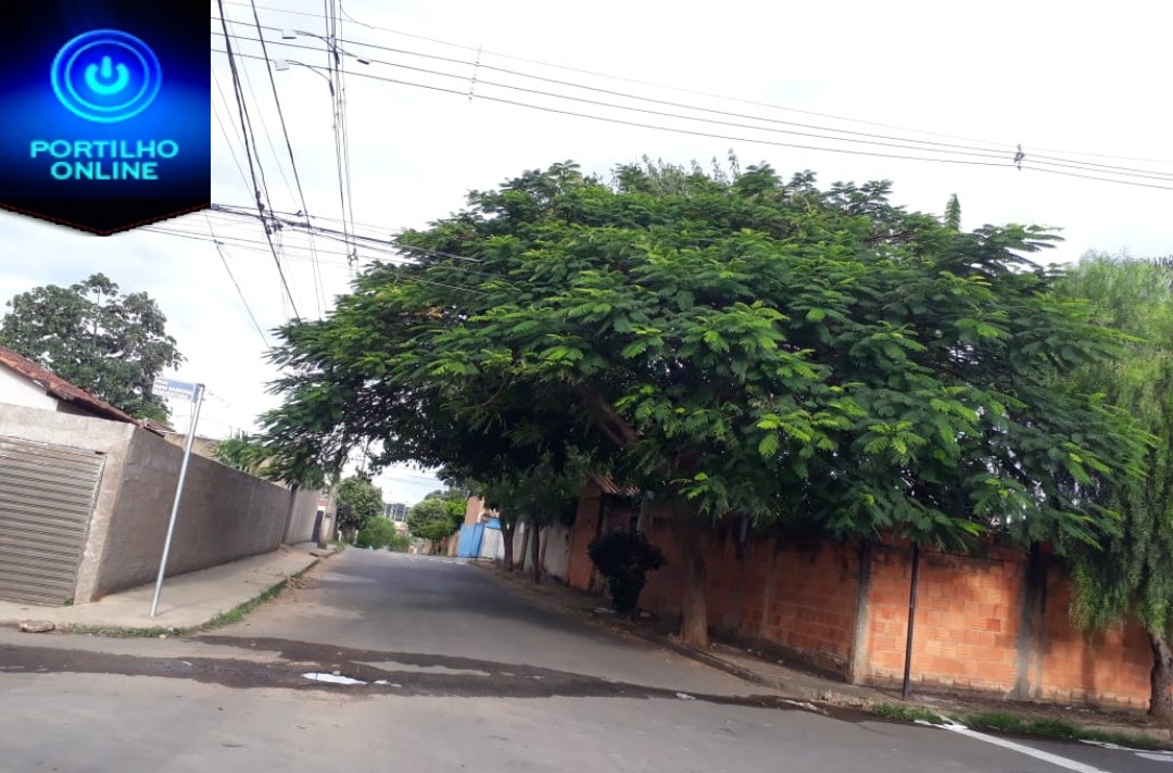 👉👊✍👍🤙👏🌳🌴BAIRRO ENÉAS…Portilho eu queria te pedir pra vc fazer uma reportagem por favor. Não me identifique por favor.
