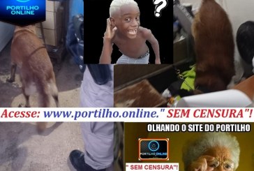   👉🚓🚔🤔🚨😱😮⚖🤫🤐MANDADO DE BUSCA E APREENSÃO?!?!!? Portilho…  Cadê a postagem dos mandatos de busca e apreensão???