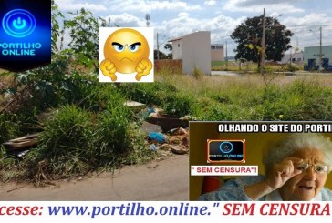 👉🤢🤮🤧😮😱😠😡🦎🐍🕷🐍🦂LIXOS, ENTULHOS E FALTA DE LIMPEZA…Portilho Online: Essa é a Rua Sebastião Alves do Nascimento, antiga Rua 15 no Jardim Sul 3.
