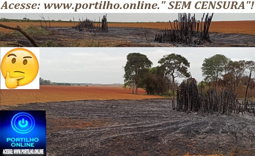    👉😱👨‍✈️🔎💣🤔🤔🚔🚨⁉❓🌥🔥🔥🔥💥CADÊ A POLÍCIA AMBIENTAL??? MINISTÉRIO PÚBLICO??? “SECRETARIA DE MEIO AMBIENTE”??? Após o segundo incêndio proposital, moitas de bambuzais acabam em cinzas. para dar lugar a lavouras.