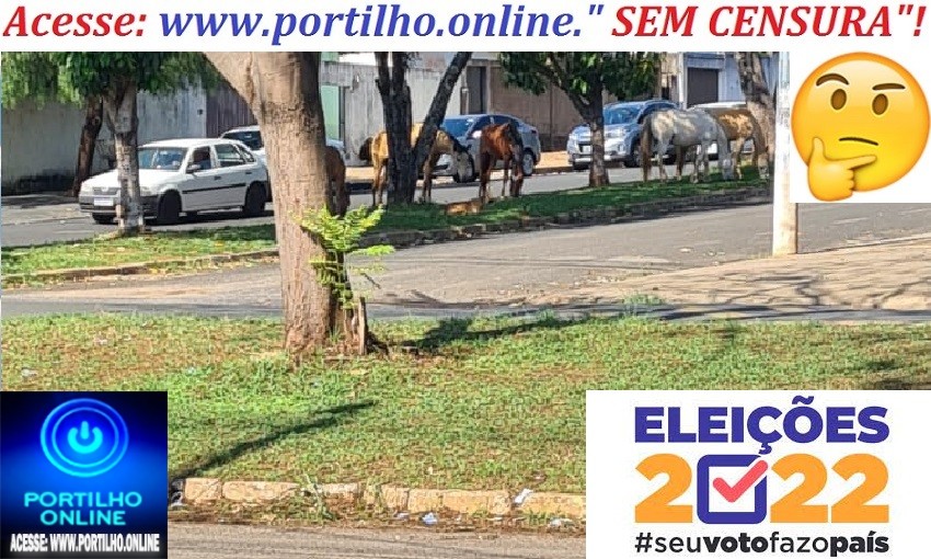 👉🤔😳😮🚓🚨✍🧐😱😡😠🐴🦓🦄🐎🐎🐎ELEIÇÕES 2022!! INDO VOTAR!!! Bando de cavalos e éguas indo votar na matinha!!!