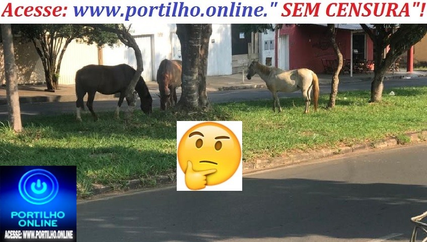 👉ATÉ QUANDO O PREFEITO VAI RESOLVER ESSA TROPAIADASSS PELA CIDADE???🐴🐎🚑💣😳🔛🚀🐷🐄🐐🐏🐖🐎🐑🐓🦃🐀TROPAS E BOIADAS!!!