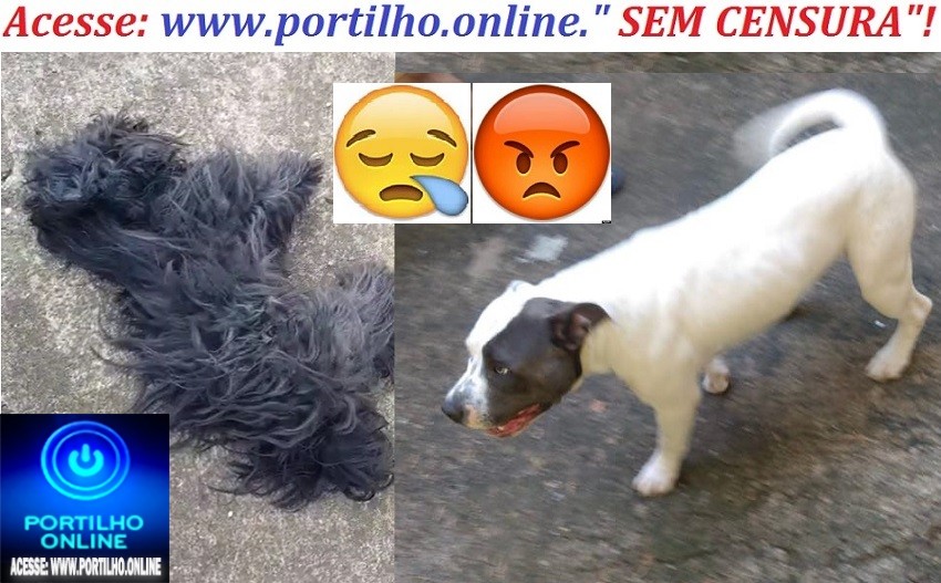 👉ASSISTA AO VÍDEO 🐕🚓⚖🚔🚨😱😡😳😮🚑📢⚰🕯🚒ATENÇÃO!!!!  PITBULL ASSASSINO DEGOLA 3 CÃES SÓ NO BAIRRO BOA ESPERANÇA !!!