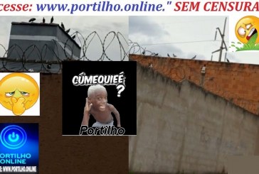 👉CRIAÇÃO DE POMBOS TEM AZUCRINADOS MORADORES DO Bairro jardim Ipiranga🧐🙄😳📢🤢🤮😡😠🕊🕊🕊🕊✍👊🚀⏰ Criação de pombos Portilho, Quero ver se fosse na casa desse pessoal da zoonose se iam deixar cagar na casa toda!