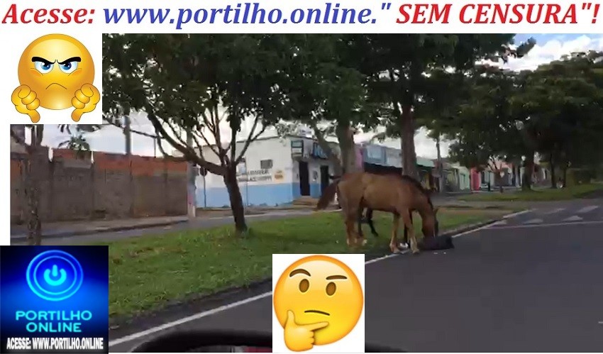 👉🐴🐎😳🤔👎📢😠😡🤠🐒🐃🐄🐑🐖🐓🐈🐩AS TROPAS E BOIADAS CONINUMA DESFILANDO ENTRE VEICULOS, PESSOAS, CARROS, MOTOCICLISTAS E DESTRUINDO LIXEIRAS.