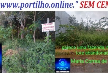 👉⁉😱😮🤔😠🐜🦗🕷🕸🐍🦎🦂Boa tarde Portilho on line, e outra vez estou aqui / Boa tarde Portilho !TD Bem? Gostaria de pedir ao socorro aqui para os moradores do Jardim Ipiranga.