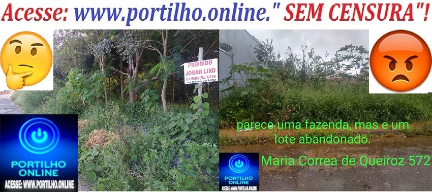 👉⁉😱😮🤔😠🐜🦗🕷🕸🐍🦎🦂Boa tarde Portilho on line, e outra vez estou aqui / Boa tarde Portilho !TD Bem? Gostaria de pedir ao socorro aqui para os moradores do Jardim Ipiranga.