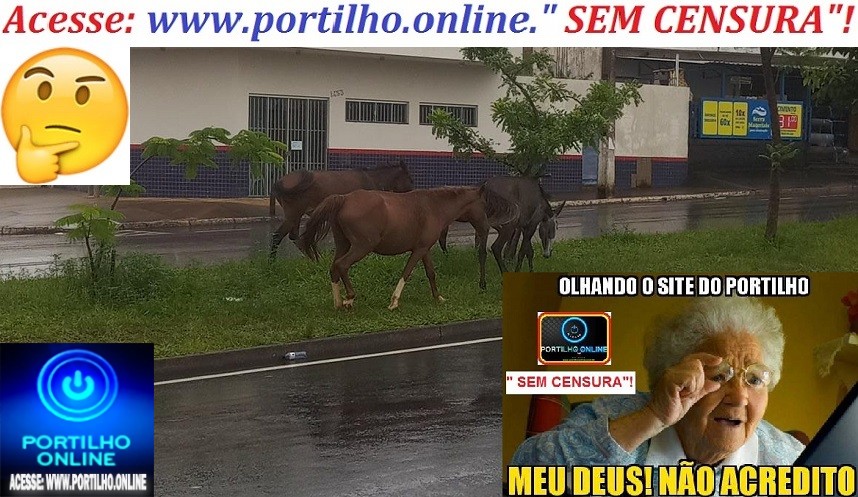 👉👎👎👎😠😡🤔👁🚔✍🔍🐴🐴🐩🐃🐂🐐🐑🐄TROPAS E BOIADAS CONTINUAM SEM “COMANDO”, E MUITO MENOS NEM DA ADMINISTRAÇÃO E NEM DOS SECRETARIOSSSSS