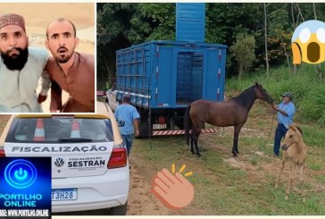 👉✍📢👏👏👏🔜🐎🐪🐂🐑🐖” ÉGUINHA POKÓTÓ E SEUS FAMILIARES FORAM APREENDIDOS”!!!!ALELUIIIAAAAAAA!!! TROPAS E BOIADAS COMEÇARAM A SER RECOLHIDO DA CIDADE.