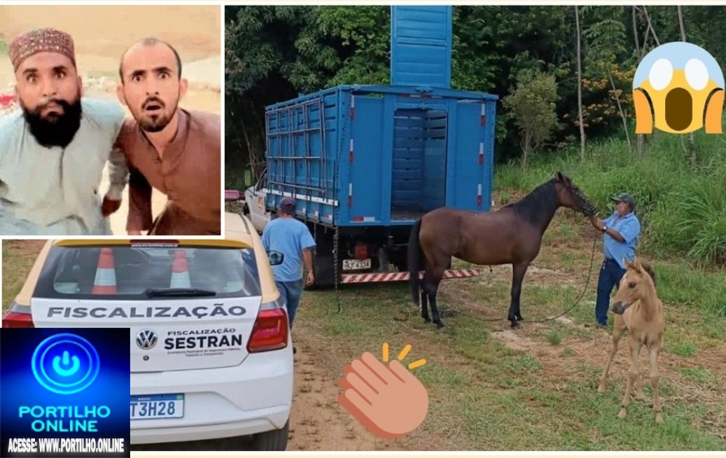 👉✍📢👏👏👏🔜🐎🐪🐂🐑🐖” ÉGUINHA POKÓTÓ E SEUS FAMILIARES FORAM APREENDIDOS”!!!!ALELUIIIAAAAAAA!!! TROPAS E BOIADAS COMEÇARAM A SER RECOLHIDO DA CIDADE.