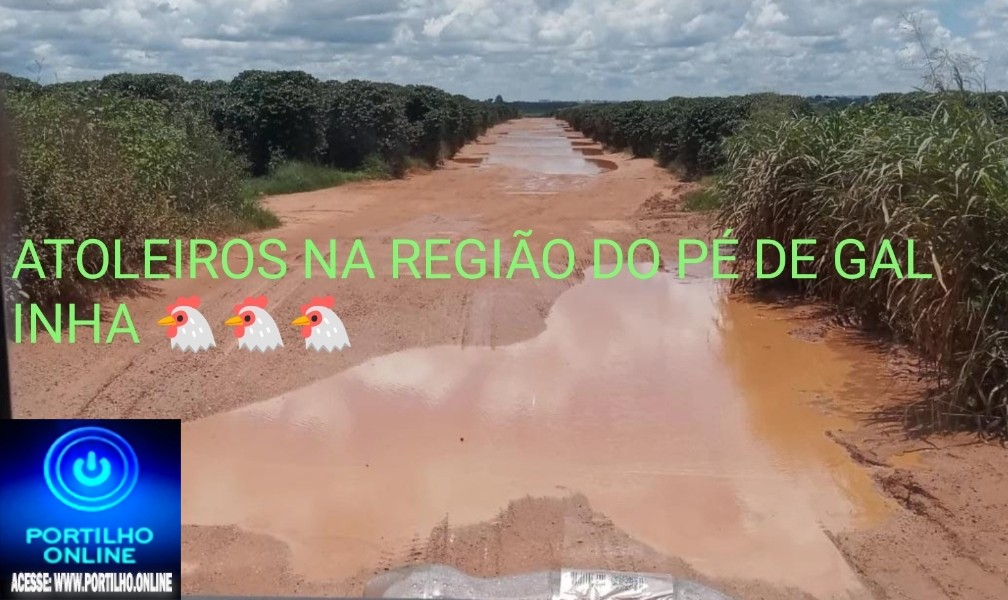 👉😠😡👀👎😱📢😮👎👎👎🚜🚜🚜🚛🚨🚖VERGONHA!!! PRODUTORES RURAIS PEDEM RESPEITO!!!Bom dia Portilho! Não gostaria de me identificar,mas venho em nome dos moradores da região do pé de galinha…