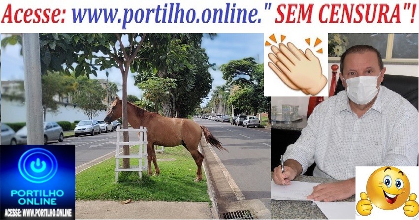 👉👏✍🤜👏🤛🐴🐎🐎🐎🐎🐄🐃🐂🐑PREFEITO DEIRÓ RESOLVE!!! CURRAIS ESTÃO SENDO CONSTRUÍDO PARA RECEBER ESSES ANIMAIS DAS “ TROPAS E BOIADAS!!!