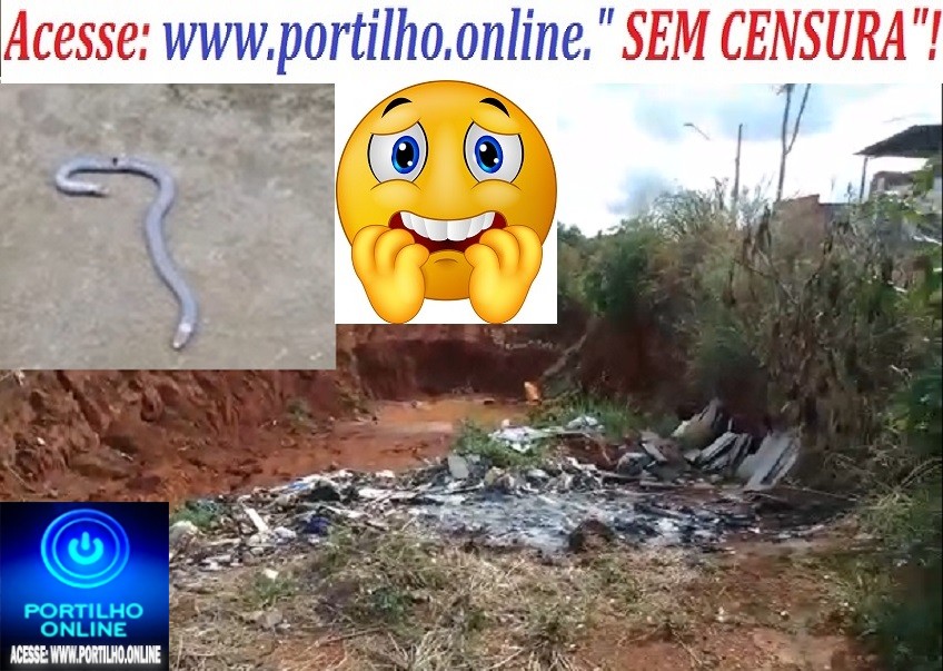 👉😱🧐🤔🐁🐀🐍🦀🕸🕷🦂 COBRA DE DUAS CABEÇAS!!!! NENHUMA DAS CAEBÇAS “🐍PIKA🐍”!!!!Boa tarde Portilho vou te mandar umas fotos aí vc põe no site aí, até hoje após 30 dias ELES falaram que ia limpar, mas nunca limpar posta aí pra nois de novo