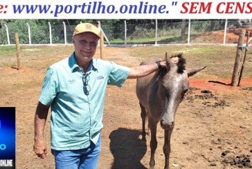 🧐🧐⚖⚖👏📢📢🦓🦒🦌🐴🦄🐷🐮🐂🐃🐎🐑🐄 ALELUIA!!!  PREFEITO PROMETEU E CUMPRIU!!! CAVALOS, TROPAS E BOIADAS ESTÃO SENDO APREENDIDOS…