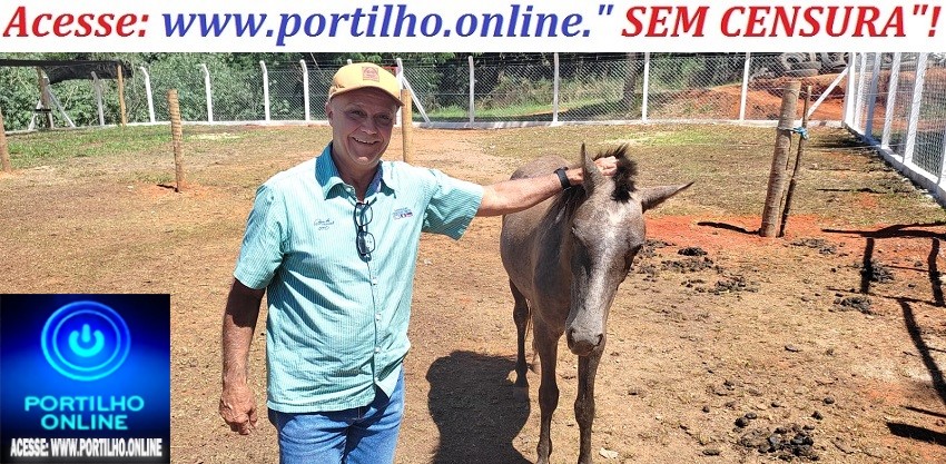 🧐🧐⚖⚖👏📢📢🦓🦒🦌🐴🦄🐷🐮🐂🐃🐎🐑🐄 ALELUIA!!!  PREFEITO PROMETEU E CUMPRIU!!! CAVALOS, TROPAS E BOIADAS ESTÃO SENDO APREENDIDOS…