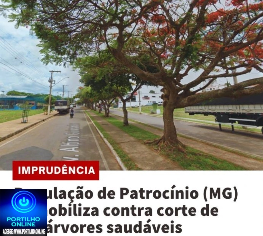 👉📢👀😱🙄🌳🌳🌳🌳🌳🌳 “A GANÂNCIA E O DESRESPEITO PELO PATRIMÔNIO URBANÍSTICO DA CIDADE GERA ANGUSTIA NOS CIDADÃOS PATROCINENSES”.