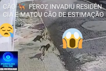 😥ASSISTA AO VÍDEO DO ATAQUE…📢😭😔🚨😠🐩🐕🐈🚔🚨🚓🚒🚑MATOU!!! PITBULL INVADE RESIDÊNCIA E MATA CACHORRO!!! “Bom dia Portilho, Minha mãe mora aqui no morada do Sol um pitbull entrou na casa dela e matou o cachorro dela”…