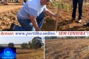 👉👿📢👉🔍🌳🌲🌳🌲🌴🌳🌳Mundas plantadas pelo Prefeito e alunos das escolas municipal plantaram já estão morrendo por falta de aguar.