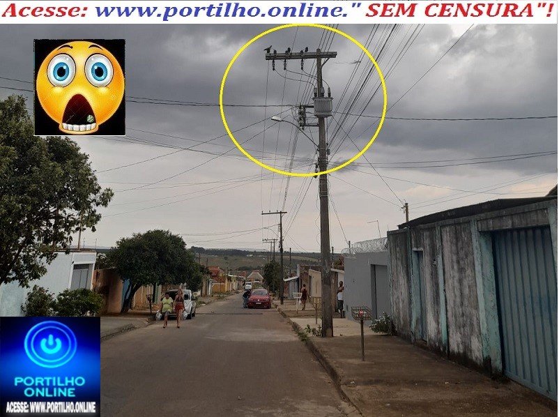 👉⚡📢🚨🚑🚒👀⚡🐥🐦🕊Poste da matança de pássaros!!! Bairro nações – Patrocínio