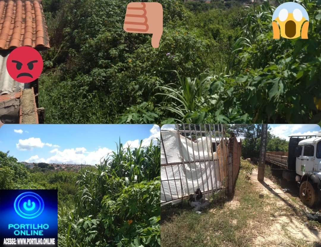 👉😠💥😈🚧🤔👀😱📢RECLAMAÇÕES.. QUÊM PODE NOS SOCORRER??? CHAPOLIN COLORADO!!!Bom dia Portilho.  Rua Neuber Veloso no bairro Eneias. O terreno abandonado mais de 3 mil metros de terreno