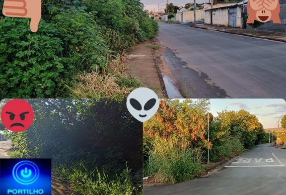 👉📢🧐😱💩👻👀👁✍ALAMEDA DOS EUCALIPTOS, ” O MATAGAL AVANÇA PARA 2O24″!!!