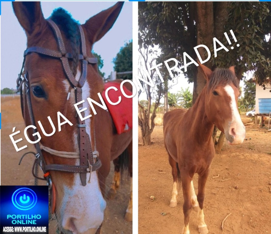 👉📢👏🤝🤜🤙🙌🙏ÉEEEEGUA ENCONTRADA!!!