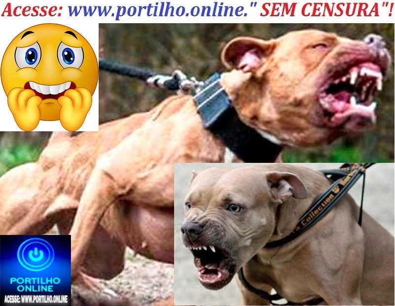 📢ATAQUES DE PITBULLS😳🕵🔍🚓🚨🚔⚖🚑🚒😱🐶🐈🐕ATAQUES DO PITBULL!!! DILACERA ROSTO DE UMA DAS VITIMAS DE 41 E 72 ANOS.