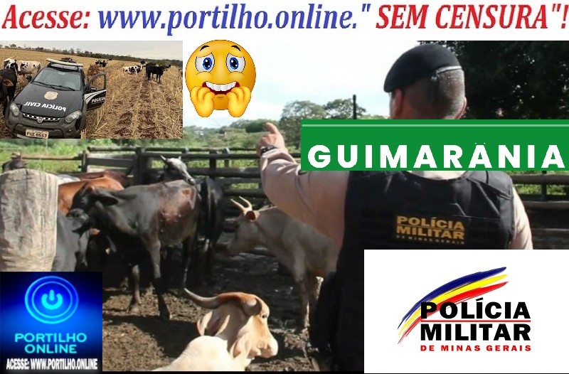 👉📢😈👺🕵🔎🚨🚔🚓🚑🚒⚰🕯👺GUIMARÂNIA!!! Portilho… Solicitamos a presença da Polícia de Goiás com urgência para conter a atuação de ladrões de gado