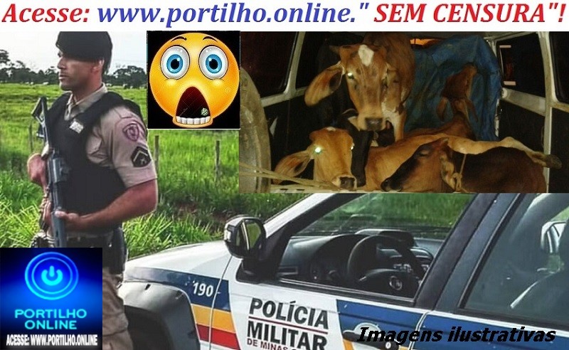 👉GUIMARÂNIA…👿👺👹😈🐮🐄🐃🕵🔍📢🚨🚓🚔QUEM É O LADRÃO DE VACA NA REGIÃO DE GUIMARÂNIA??? Portilho, só Tá faltando pegar os ladrões de vaca e de bombas que todo mundo sabe quem é.