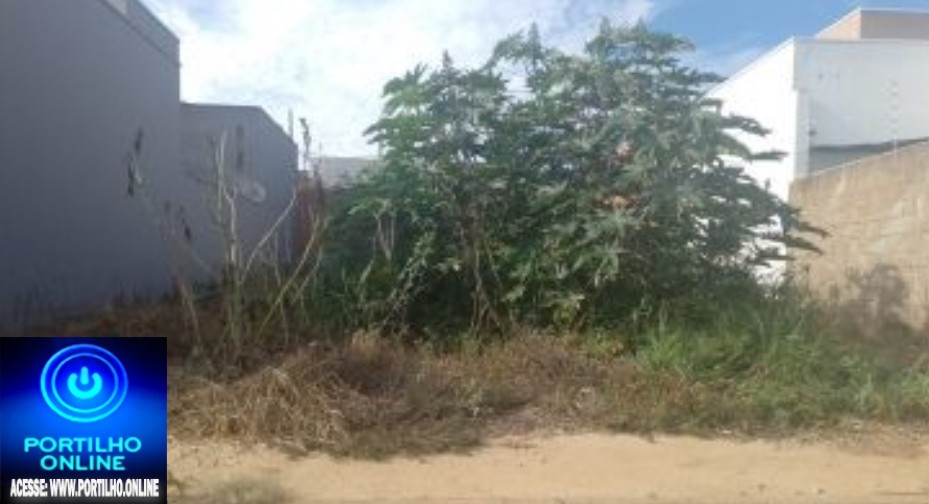 📢📣👎🤬🧐✍🚜🤮LOTE ABANDONADO!!!! CADÊ A FISCALIZAÇÃO? Rua Maria Correa de Queiroz 572 jardim sul 4