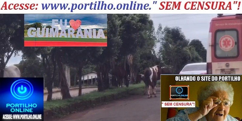 👉🤔🙄🕵️‍♀️🔎📢🐃🐄🐂🐎🐴Tropas e boiadas, divide as vias públicas com veículos na avenida centro de GUIMA!!!