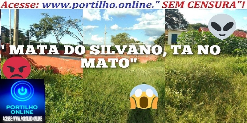 👉📢👿😡😠🤢🤮COMUNIDADE DA MATA DO SILVANO, “TÁ NO MATO SEM CACHORRO 🐕🐶”!!!