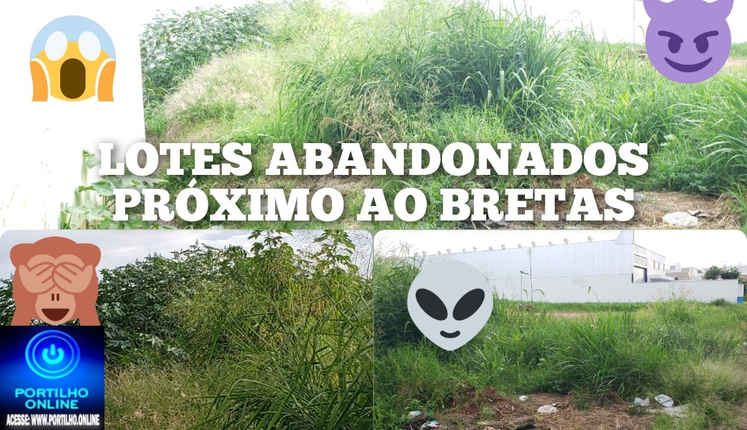 🩸💉🦟🦟🦟 👉🚨🚑😡❓🤔😱💥🙄🚒🚑🚨👀📢0 TERRENOS ABANDONADOS EM TORNO DO BRETAS 🩸💉🦟🦟🦟