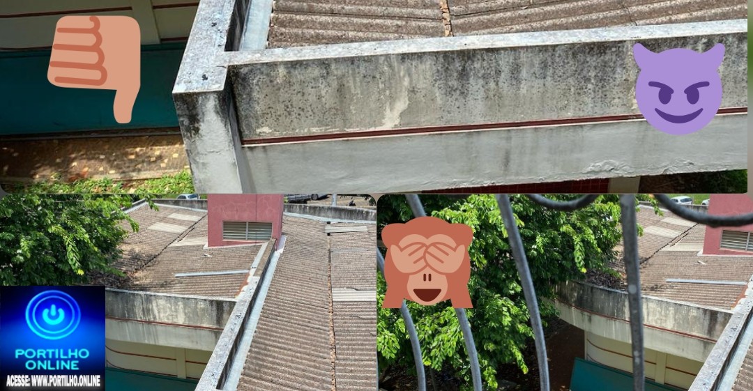 🦟🦟🦟🦟🤢😤😡 Oi Portilho moro aqui do lado desse espaço da prefeitura, essas fotos tirei da janela do meu quarto