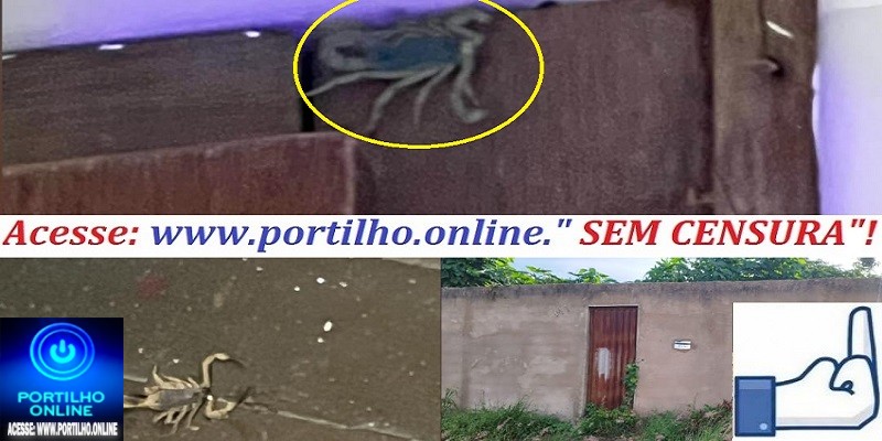 📢👉😡🐀💸🕷🦂🕸🐍🖕CADÊ A PUNIÇÃO DA FISCALIZAÇÃO? Lote na Rua: Luiz capuano 177 no Morada do Sol