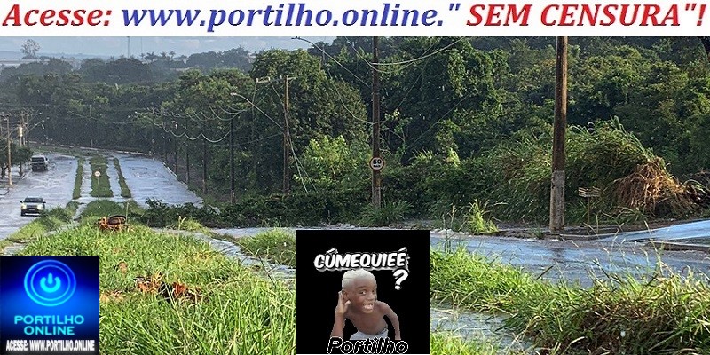 👉🚨⚖😱📢🚓🚔🔎🤠🌳🌲🌳DESMATAMENTO NO BOSQUE DA MATINHA: ÁRVORE CAI NA AVENIDA NAÚTICA, INTERROMPENDO O TRÂNSITO