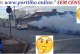 👉🏻🚨🤔🩺🩻💊🦟🦟🦟🦟Moradores pedem fumacê para reforçar o combate ao mosquito-palha em Patrocínio